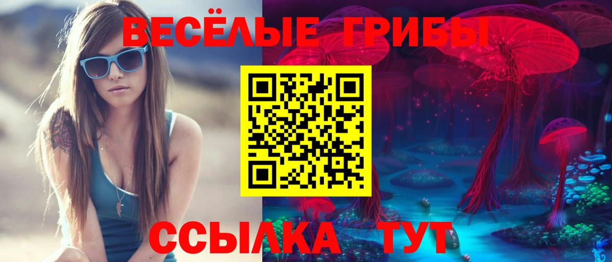 Галлюциногенные грибы ЛСД Тосно