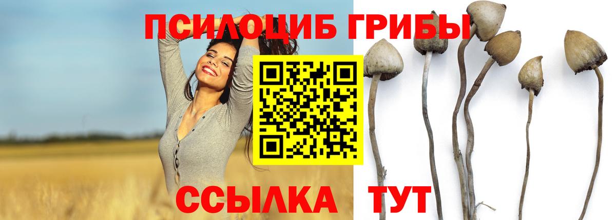 Псилоцибиновые грибы ЛСД  Вход с VPN  Псилоцибиновые грибы GOLDEN TEACHER  Тосно 
